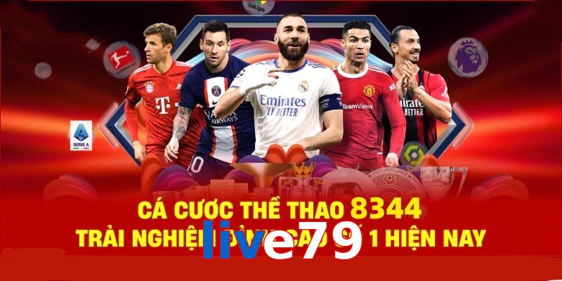 Đá Gà Philippines – Tinh Hoa Truyền Thống Và Thể Thao 